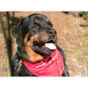 Meet your Posher, Denise